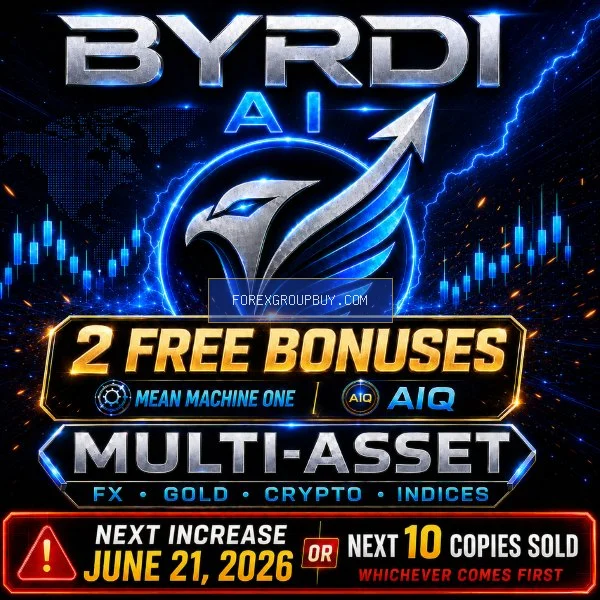 Byrdi screenshot 3